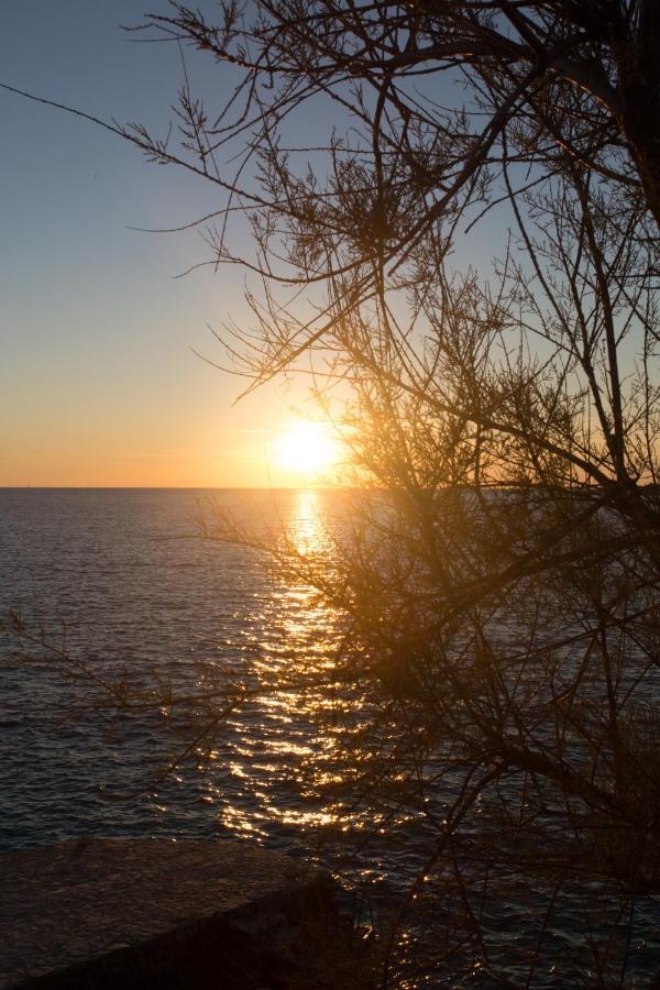 Villa, Stone House With Swimming Pool & Sauna, Beach, سيفيد المظهر الخارجي الصورة