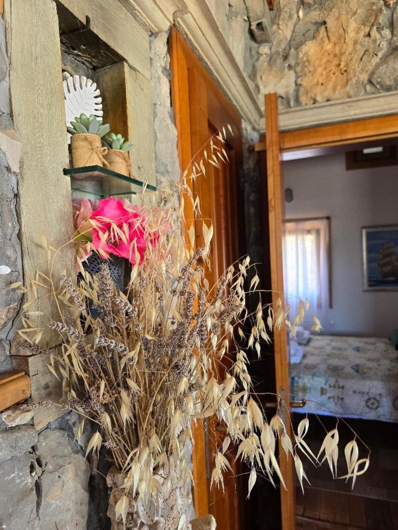 Villa, Stone House With Swimming Pool & Sauna, Beach, سيفيد المظهر الخارجي الصورة